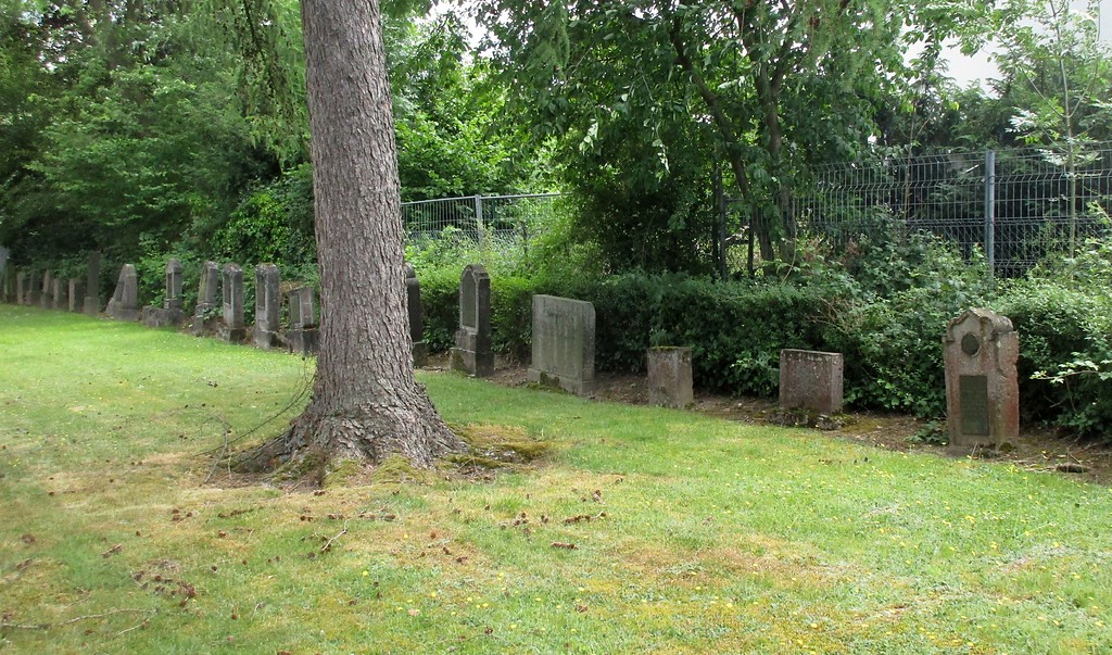 Vorderes Gräberfeld auf dem jüdischen Friedhof Trierbachweg in Gürzenich (2017).