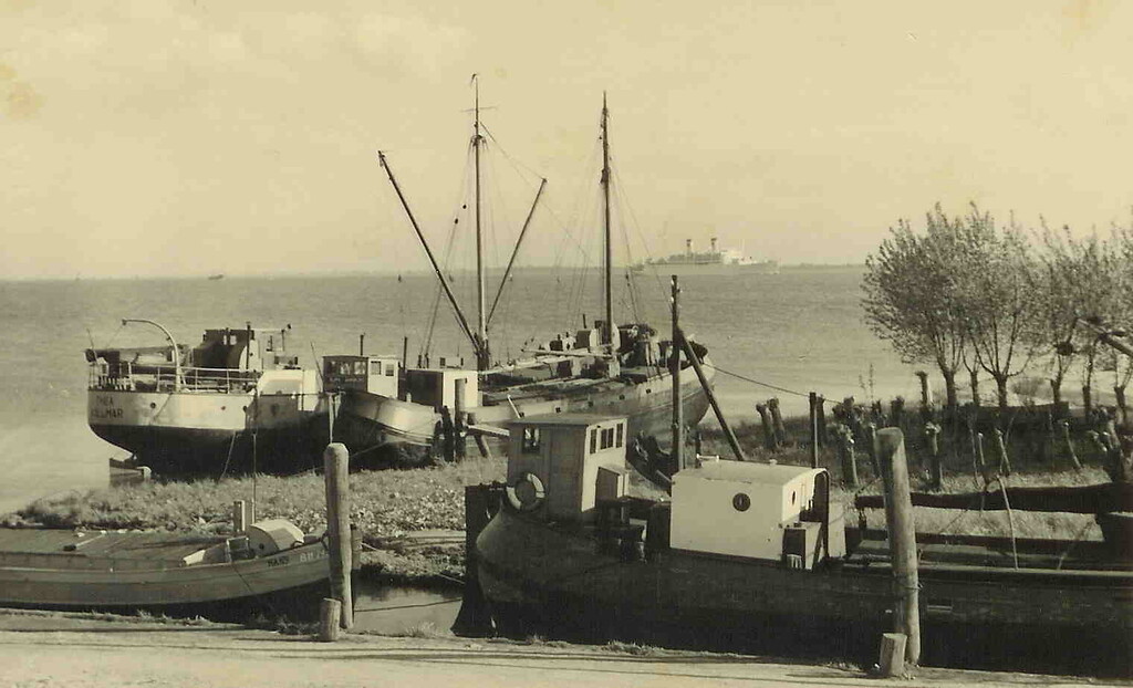 Hafen Kollmar (1952)