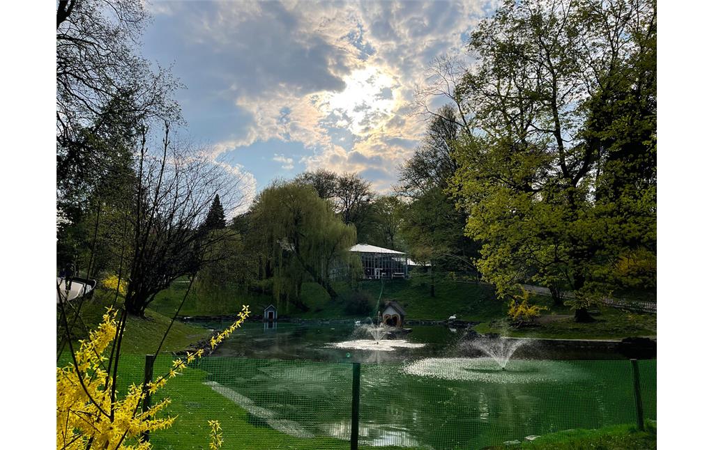 Swan pond in Stryiskyi Park in Lviv