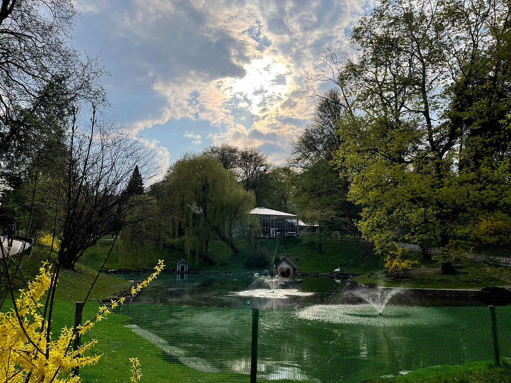 Swan pond in Stryiskyi Park in Lviv