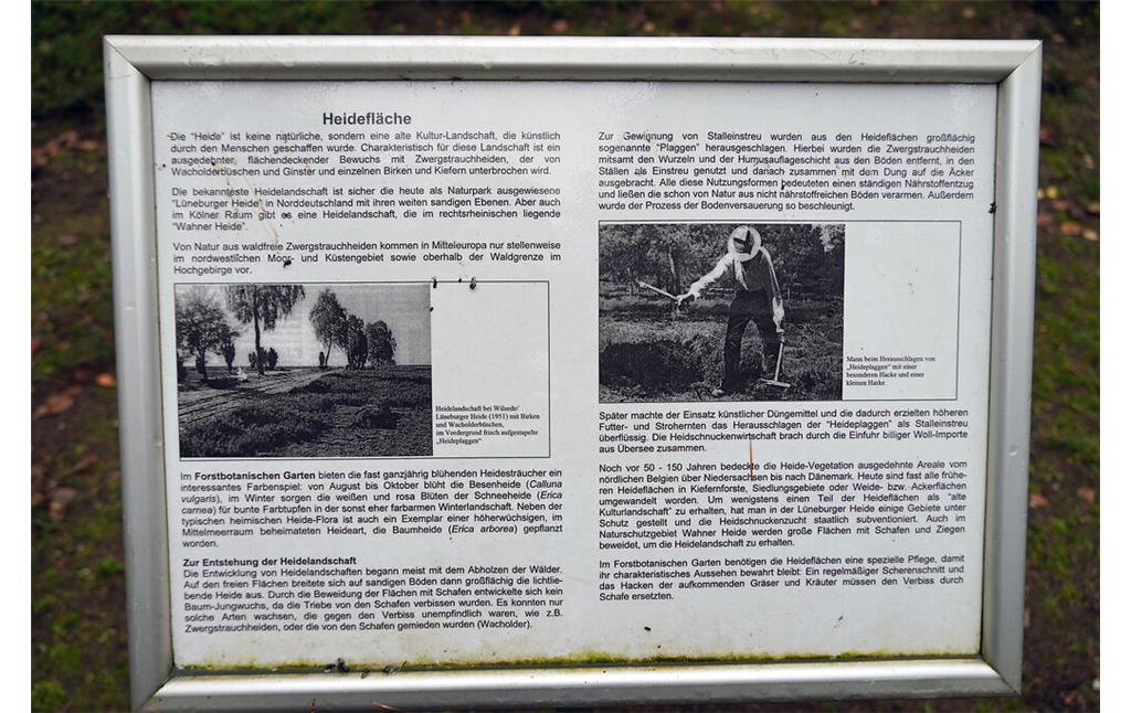 Informationsschild zur Heidelandschaft im Forstbotanischen Garten in Köln-Rodenkirchen (2021)