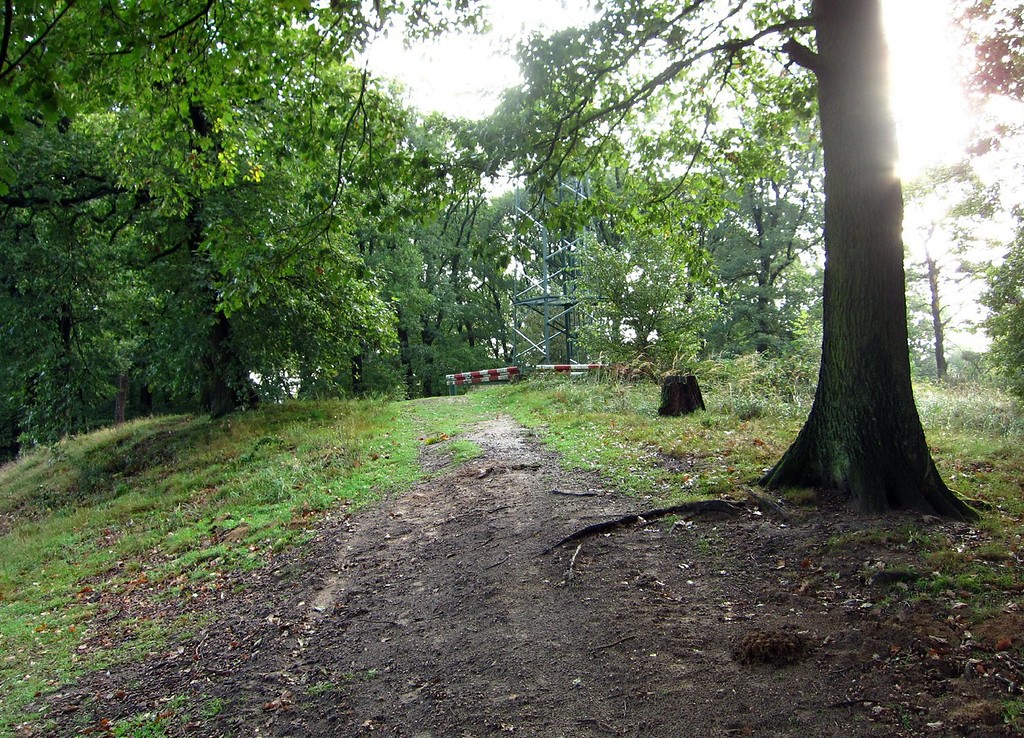 Ein Weg unmittelbar am Telegrafenberg / Rodderberg in der Wahner Heide (2011).