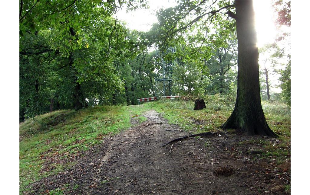 Ein Weg unmittelbar am Telegrafenberg / Rodderberg in der Wahner Heide (2011).