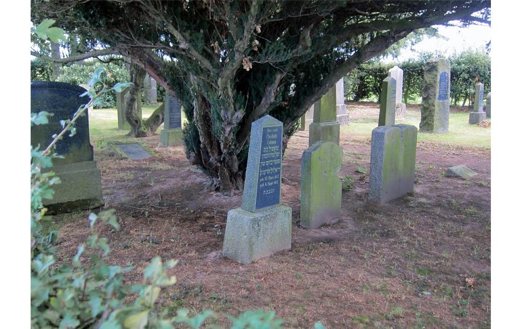 Grabsteine auf dem jüdischen Friedhof in Hemmerden (2014)