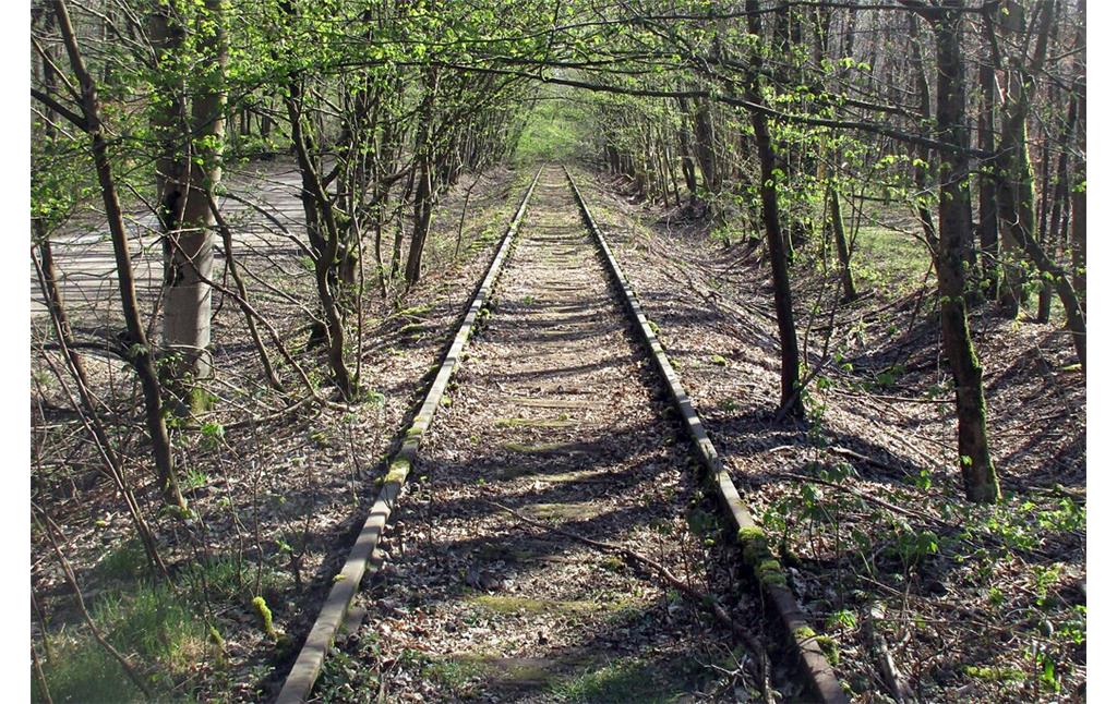 Relikte der heute nur noch in Teilen in Betrieb befindlichen Bahnstrecke Siegburg-Olpe (die so genannte "Aggertalbahn") im Bereich des Lohmarer Waldes (2020).