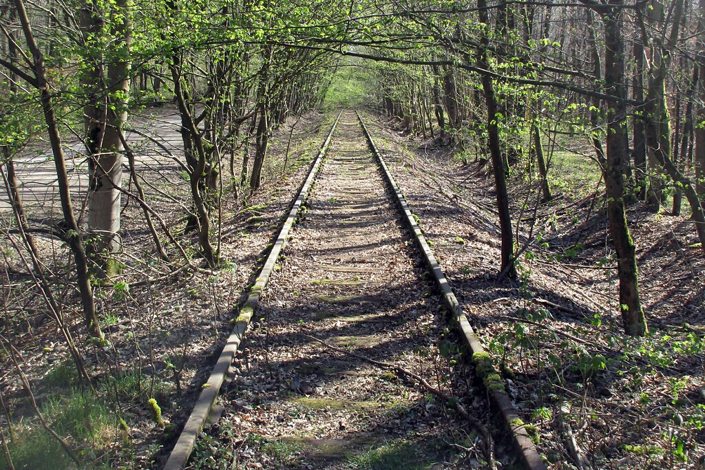Relikte der heute nur noch in Teilen in Betrieb befindlichen Bahnstrecke Siegburg-Olpe (die so genannte "Aggertalbahn") im Bereich des Lohmarer Waldes (2020).