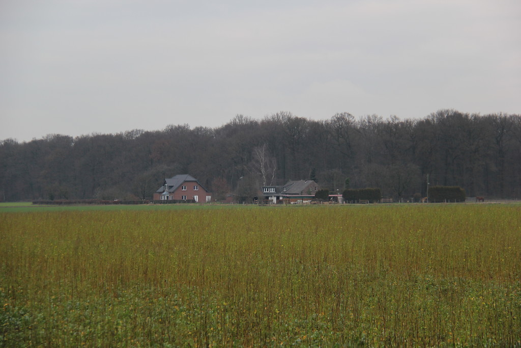 Gehöft in Tannenbusch bei Goch (2013)