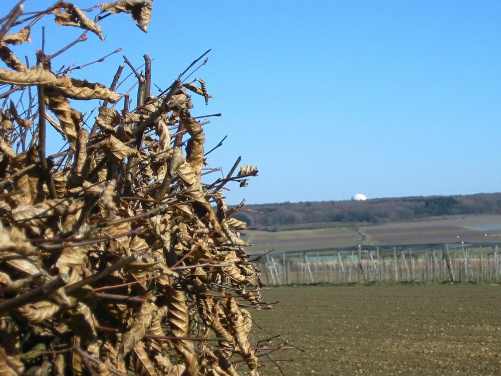 Blick vom Windmühlenturm Fritzdorf in nordöstliche Richtung, im Hintergrund die Radarkuppel des "Radom" bei Wachtberg (2011).