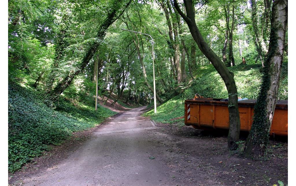 Zufahrtsweg in den Naturpark Wildnis-Worm in Herzogenrath (2016)