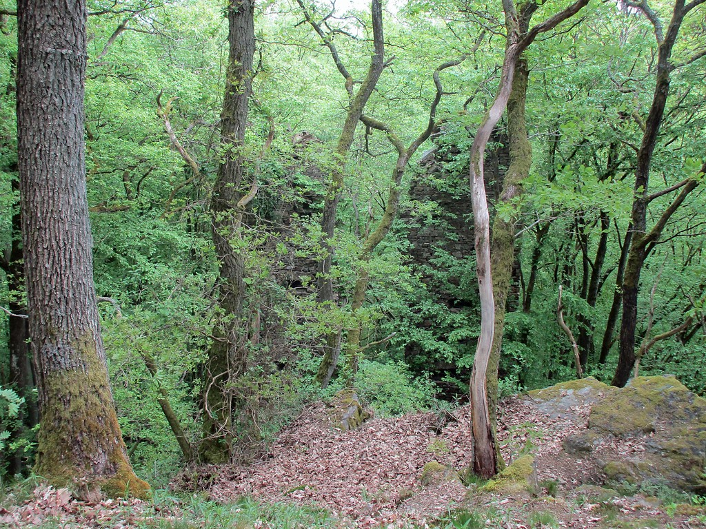 Die versteckt gelegene Burgruine Suitbertstein im Wald bei Dörrebach (Mai 2016).