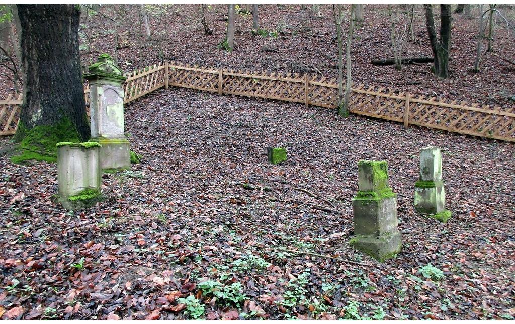 Das Gräberfeld auf dem neuen Judenfriedhof "am Kesselberg" in Bad Breisig-Niederbreisig (2015).