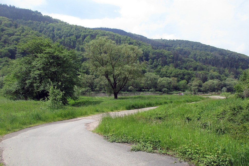 Der Übergang zur Mosel an der früheren Furt an der untergegangenen Kleinsiedlung Lehmer Hof bei Ediger-Eller, heutiger Bereich des Naturschutzgebiets "Ediger Laach" (2019).
