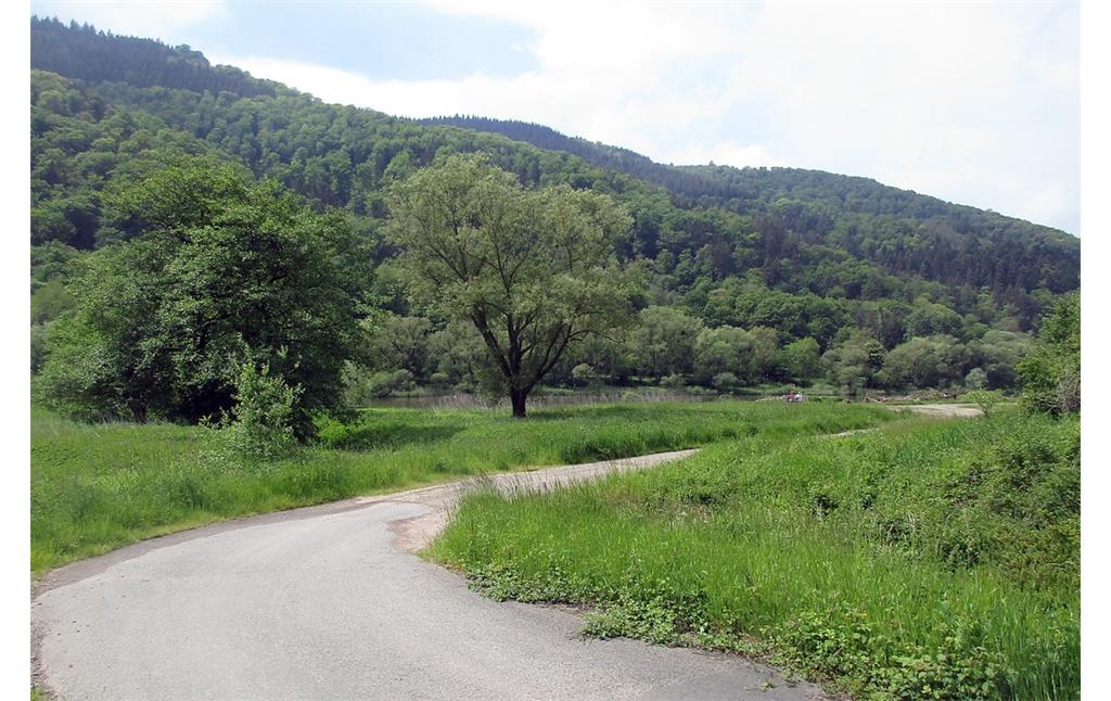 Der Übergang zur Mosel an der früheren Furt an der untergegangenen Kleinsiedlung Lehmer Hof bei Ediger-Eller, heutiger Bereich des Naturschutzgebiets "Ediger Laach" (2019).