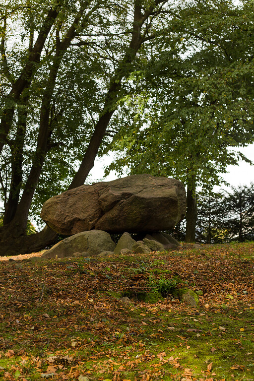 Fotoaufnahme des Großsteingrabs "Brutkamp", Herbst 2019