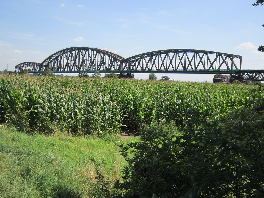 Haus-Knipp-Brücke bei Baerl von Norden (2012)