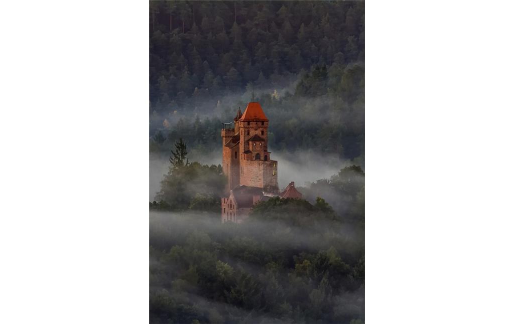 Luftbild der Burg Berwartstein bei Erlenbach (2016)