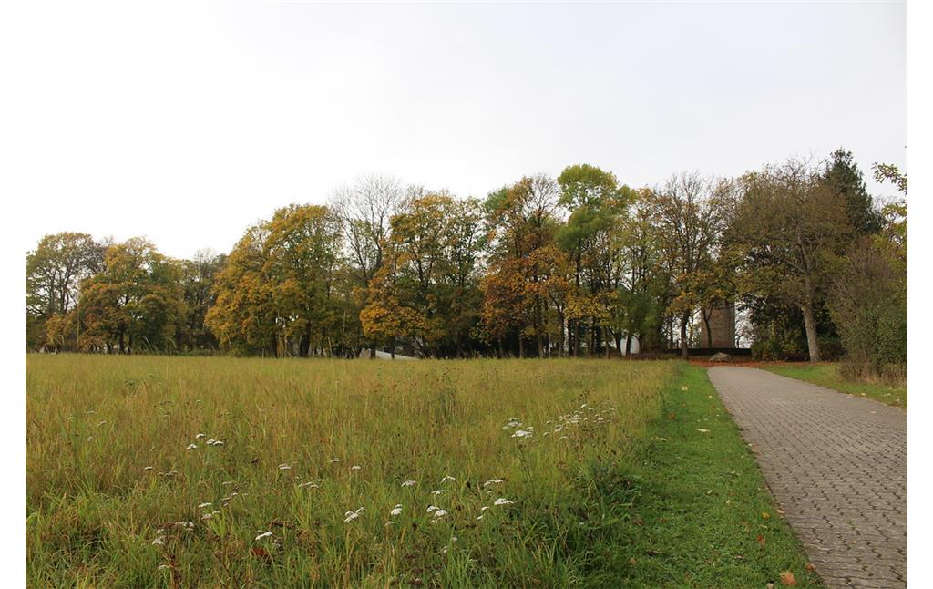 Parkanlage Schillerhain, Blick von Osten auf den hinter Bäumen gelegenen Wartturm im Schillerhain (2017)