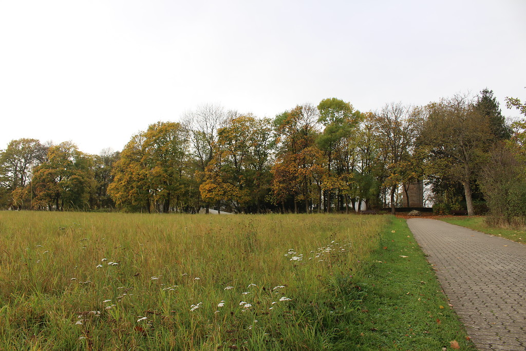 Parkanlage Schillerhain, Blick von Osten auf den hinter Bäumen gelegenen Wartturm im Schillerhain (2017)