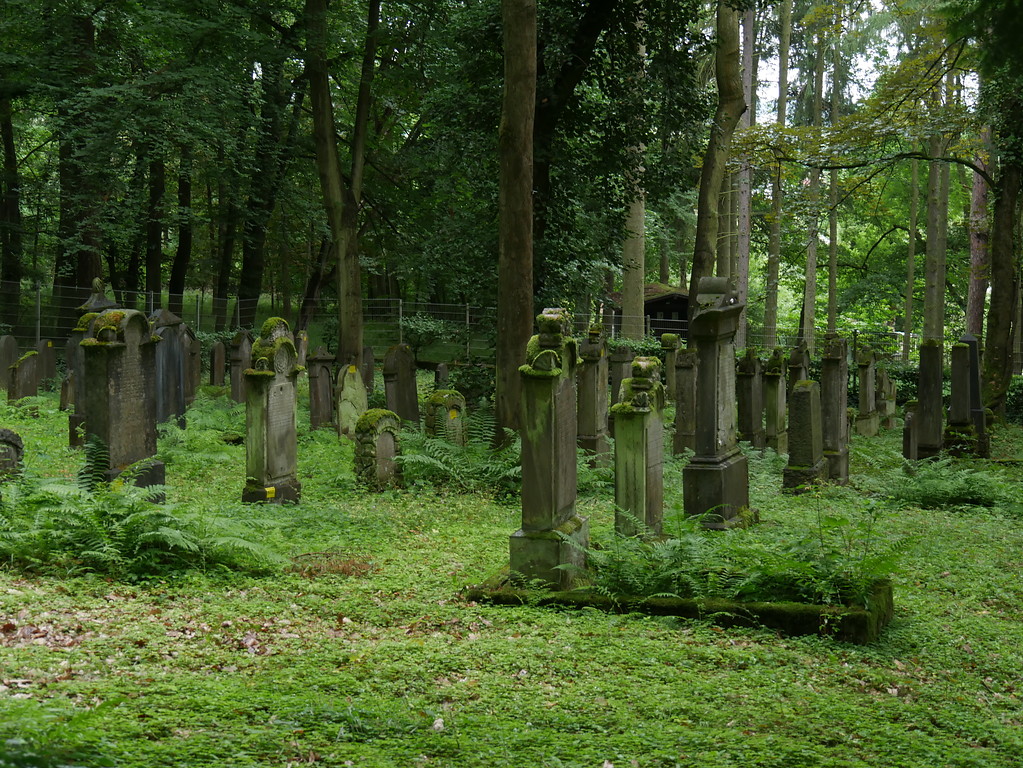 Südansicht des jüdischen Friedhofs am Schafsberg in Limburg (2017)