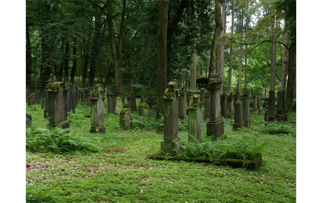 Südansicht des jüdischen Friedhofs am Schafsberg in Limburg (2017)