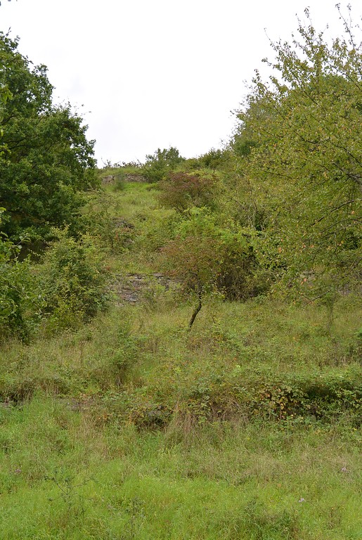 Ehemalige Weinbergsflächen westlich von Bad Bodendorf (2014)