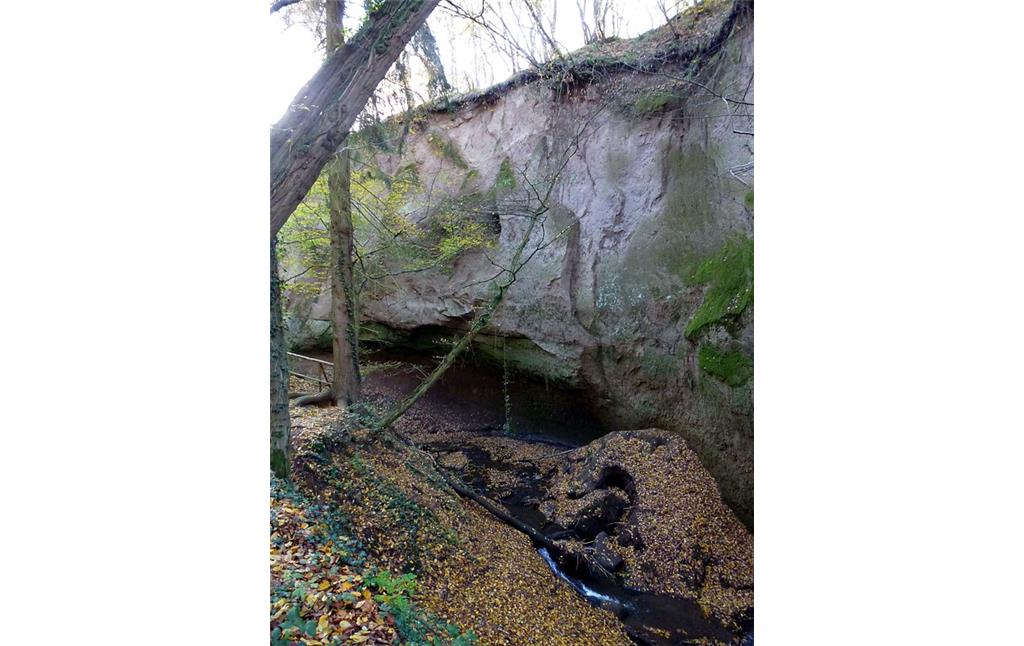 Trasswand und Bachlauf im Brohltal am Höhlen- und Schluchtensteig in Andernach-Kell (2014)