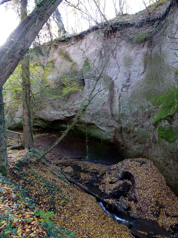 Trasswand und Bachlauf im Brohltal am Höhlen- und Schluchtensteig in Andernach-Kell (2014)