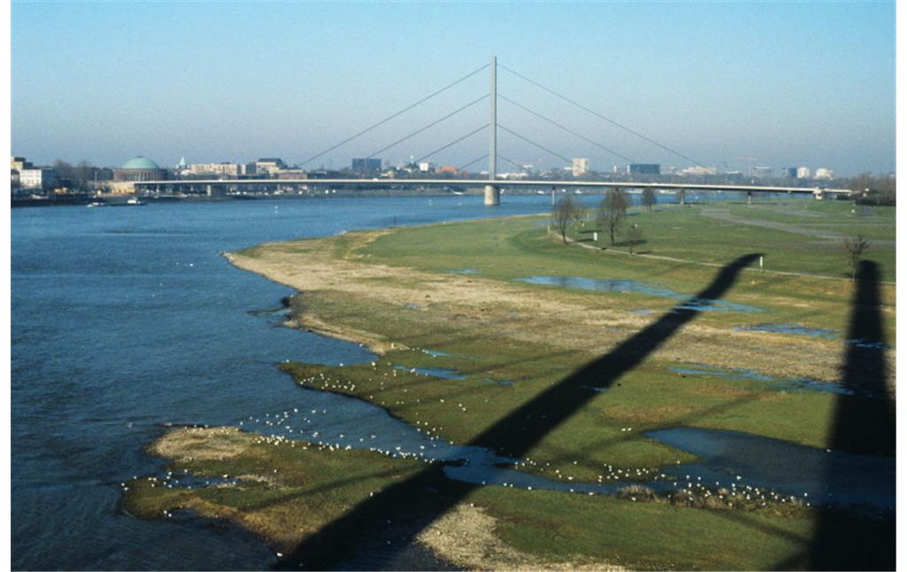 Blick auf die Rheinaue und die Rheinbrücke bei Düsseldorf-Oberkassel (2007)