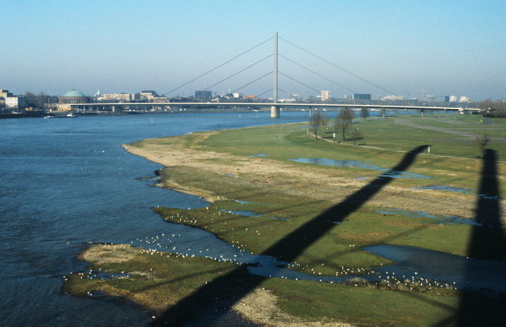 Blick auf die Rheinaue und die Rheinbrücke bei Düsseldorf-Oberkassel (2007)