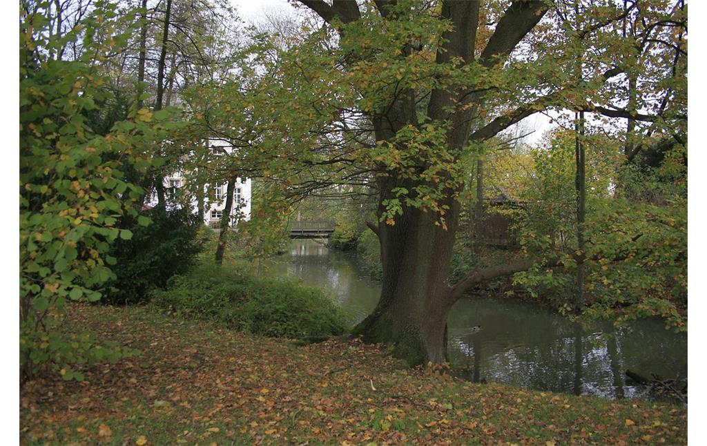 Blick vom Park auf die Gräfte der Wasserburg Haus Voerde an der Allee in Voerde. Die Wasserburg ist auch heute noch ringsum von Wasser umgeben. Im Hintergrund ist die weiße Burg und eine Brücke zu sehen, die über die Gräfte führt (2014).