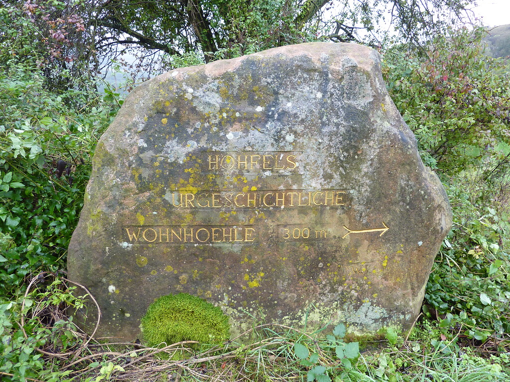 Ritterstein Nr. 293 Hohfels urgeschichtliche Wohnhoehle 300 m nordwestlich von Grünstadt (2014)