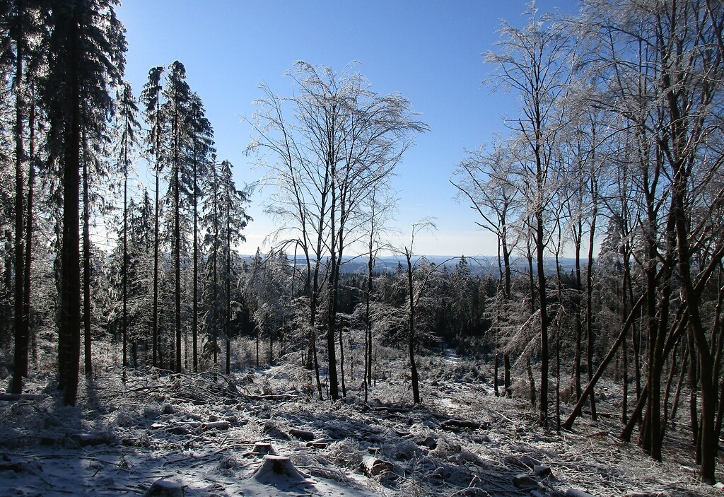 Winterliche Aussicht vom 747 Meter hohen Berg "Hohe Acht" bei Adenau im Landkreis Ahrweiler (2021).