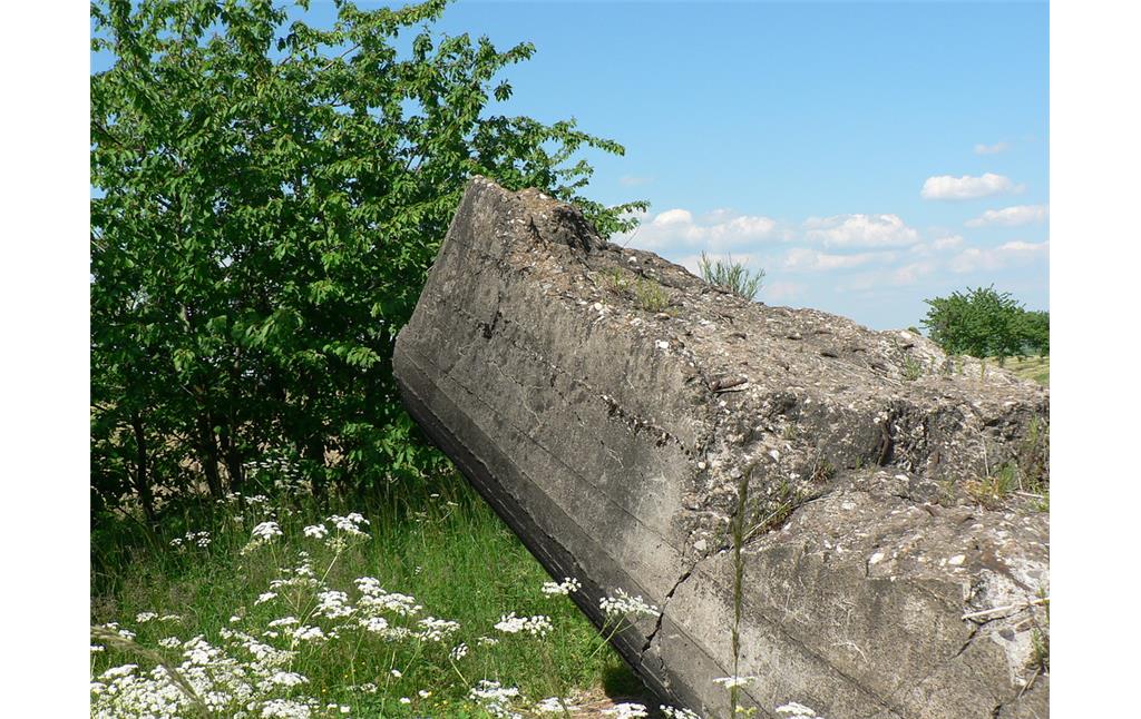 Decke des gesprengten Bunkers in Zülpich-Langendorf (2013).