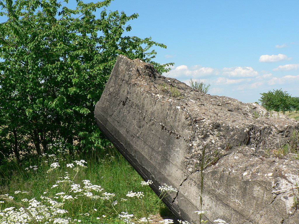 Decke des gesprengten Bunkers in Zülpich-Langendorf (2013).