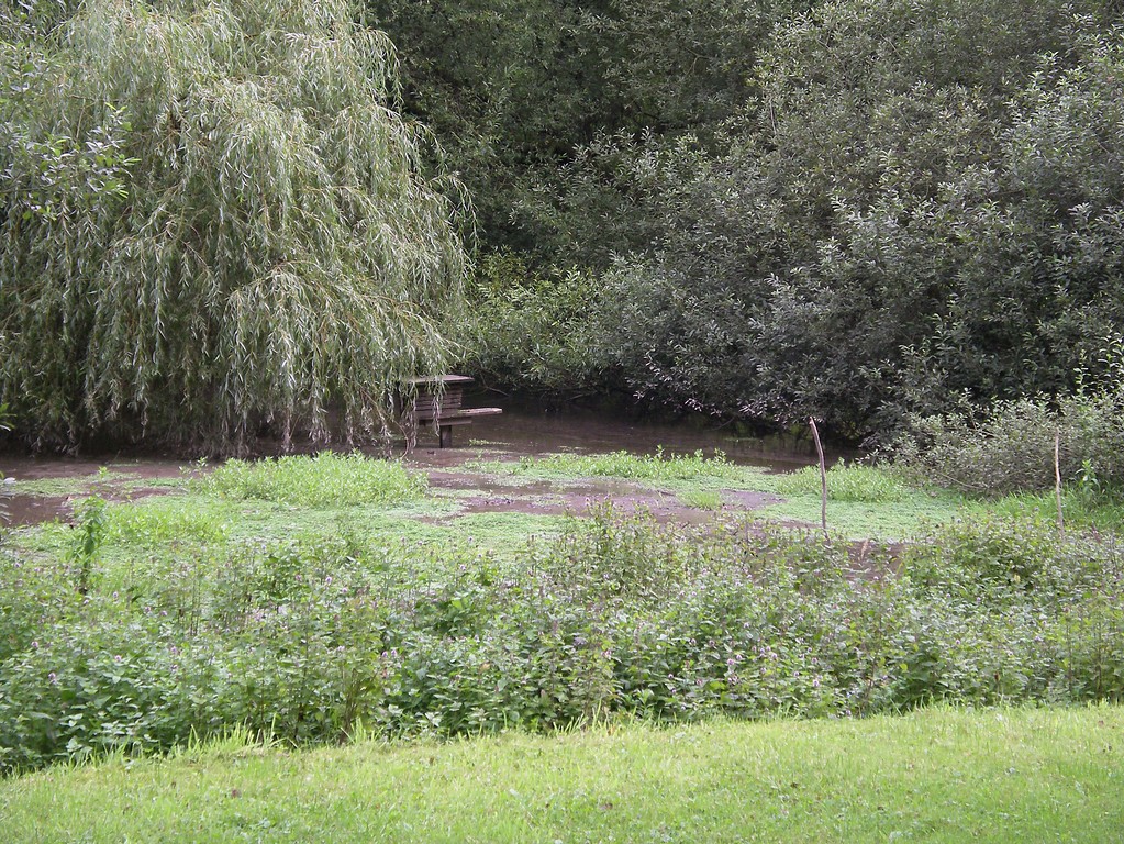 Strunderbach und Teich im Bereich der Quelle (2004)