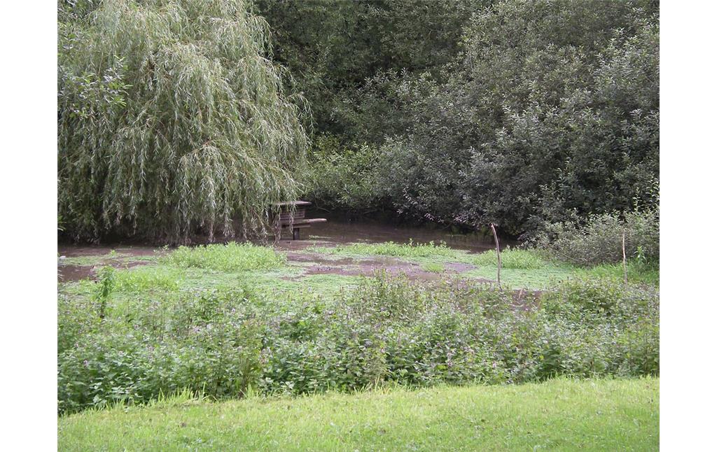 Strunderbach und Teich im Bereich der Quelle (2004)