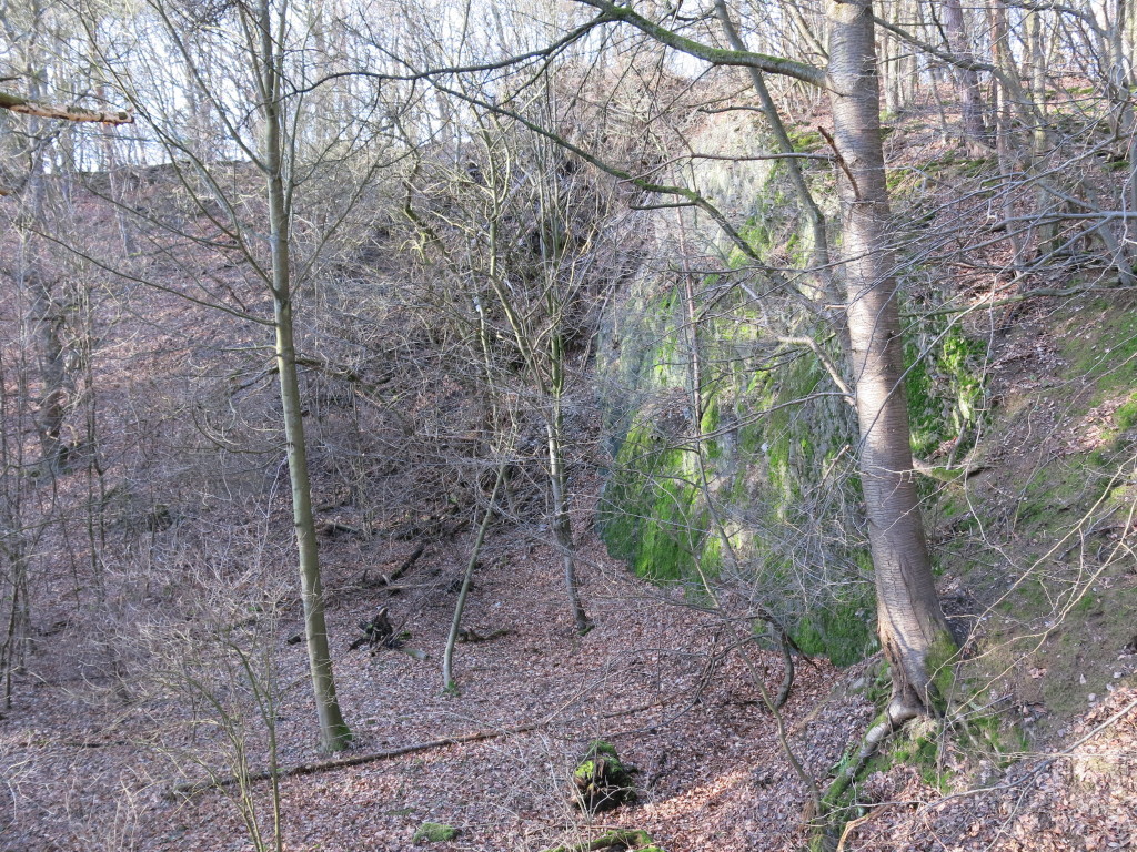 Steinbruch im Kuckucksberg bei Hunzel (2013).