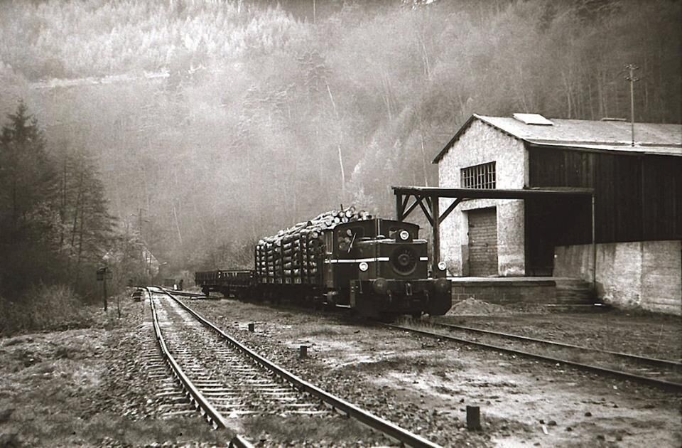 Güterzug in Erfenstein (ca. 1970)
