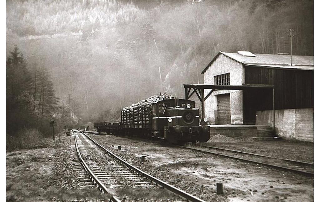 Güterzug in Erfenstein (ca. 1970)