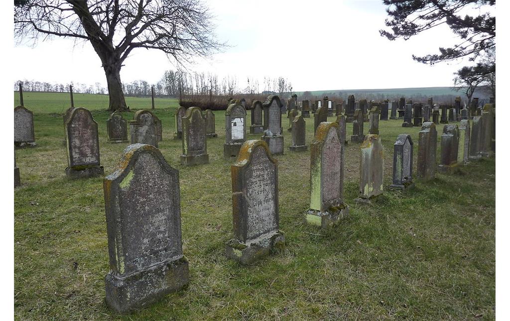 Blick über das Gräberfeld des jüdischen Friedhofs in Mertloch (2010).