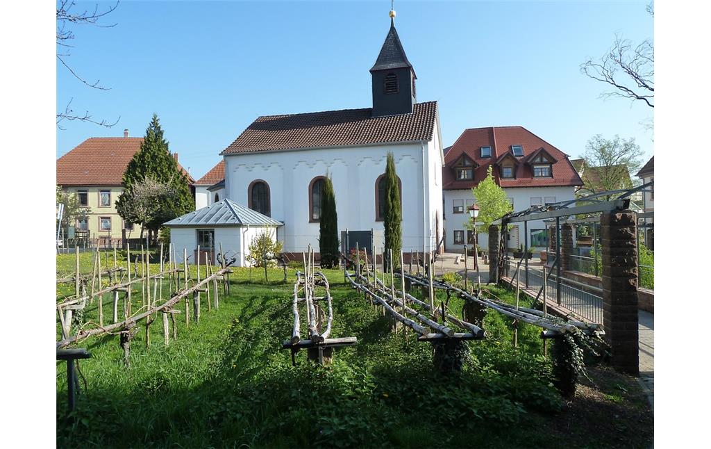 Gesamtansicht der Kapelle in Alsterweiler von Süden (2017).