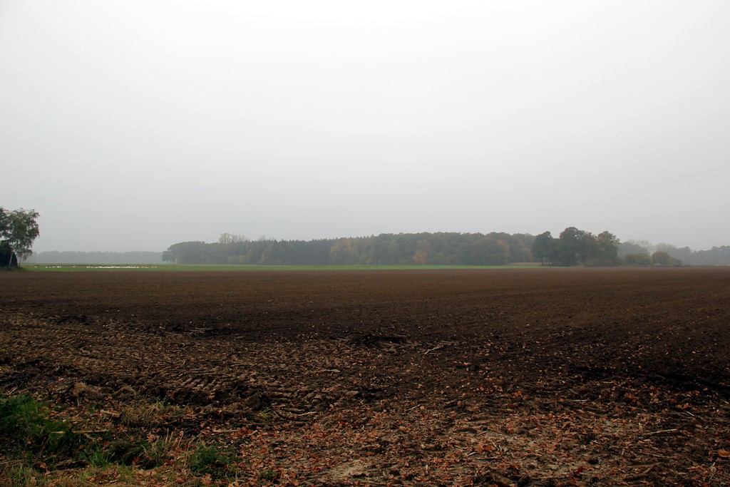 Ackerfläche in Uedem-Uedemerbruch (2012).