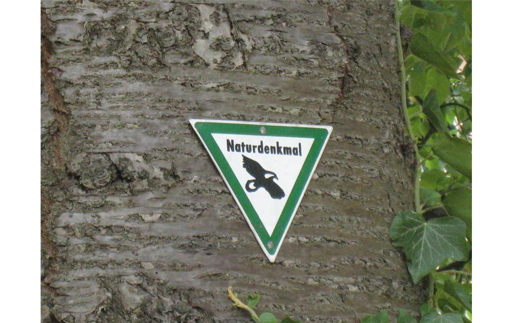 Naturdenkmal Wildkirsche beim Amtsgericht in Landau in der Pfalz (2017), Naturdenkmal-Plakette