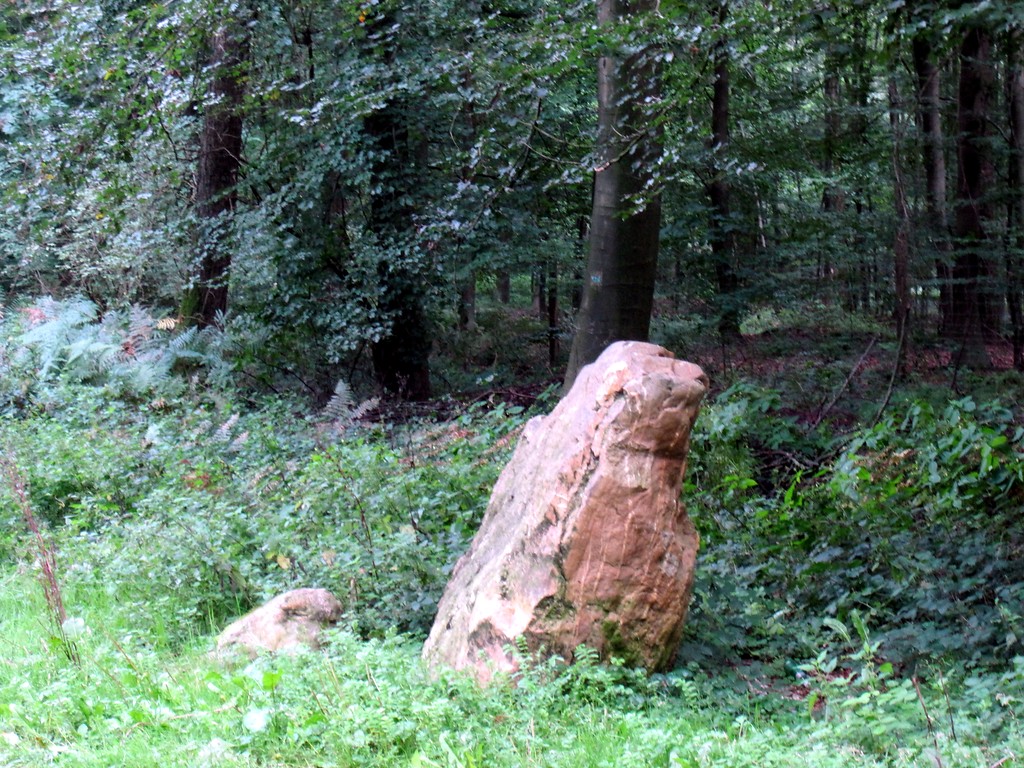 Findling "Goldenes Kalb"( Quarzitblock) im Reichswald bei Kleve (2011)