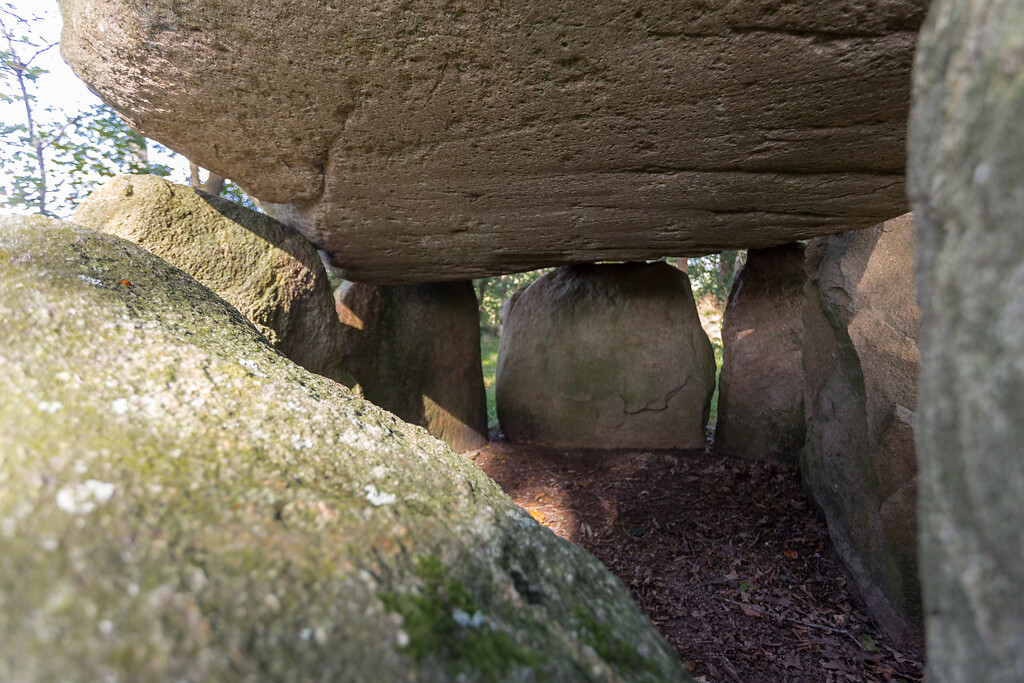 Fotoaufnahme vom Inneren des Großsteingrabs bei Dellbrück, Herbst 2019