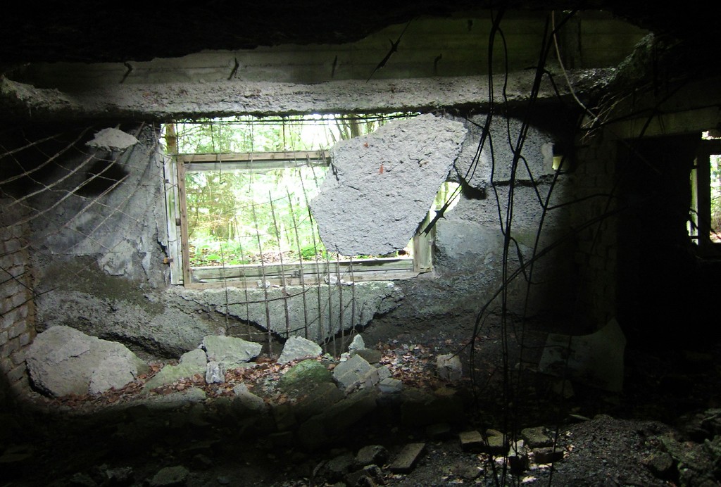 Ein verfallener Raum im Kellergeschoss der ruinösen "Adenauervilla" (2015).