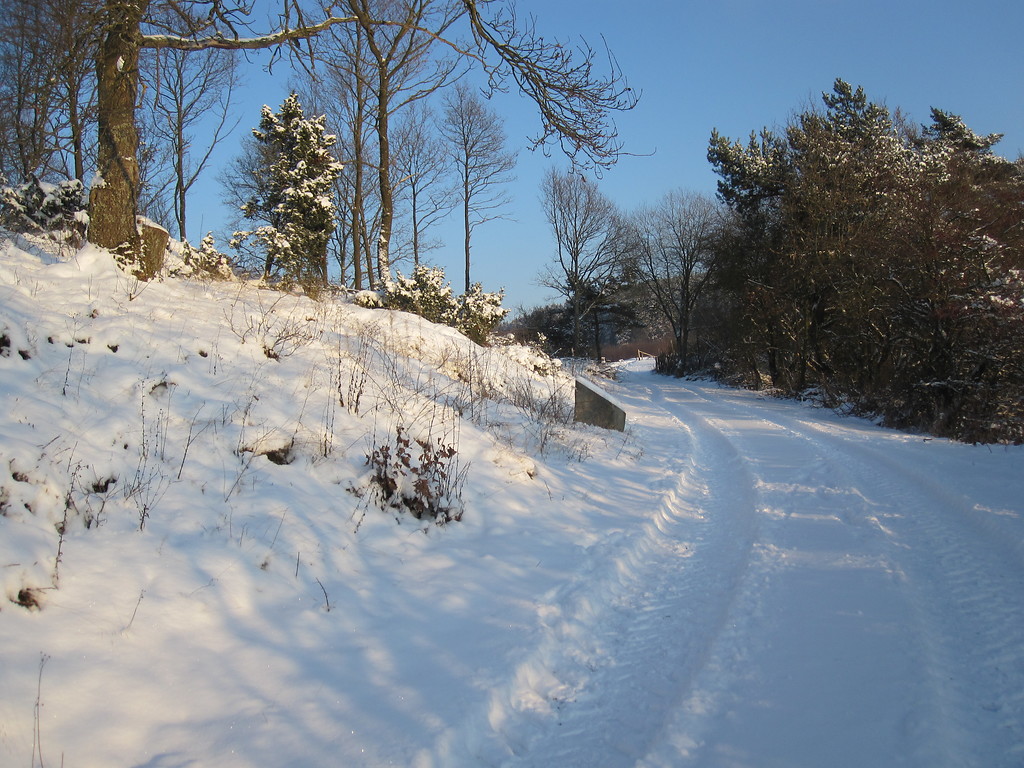 Die vom Eifelverein freigestellte Wacholderheide Heidekopf in der Gemarkung Kelberg-Zermüllen im Winter 2009.