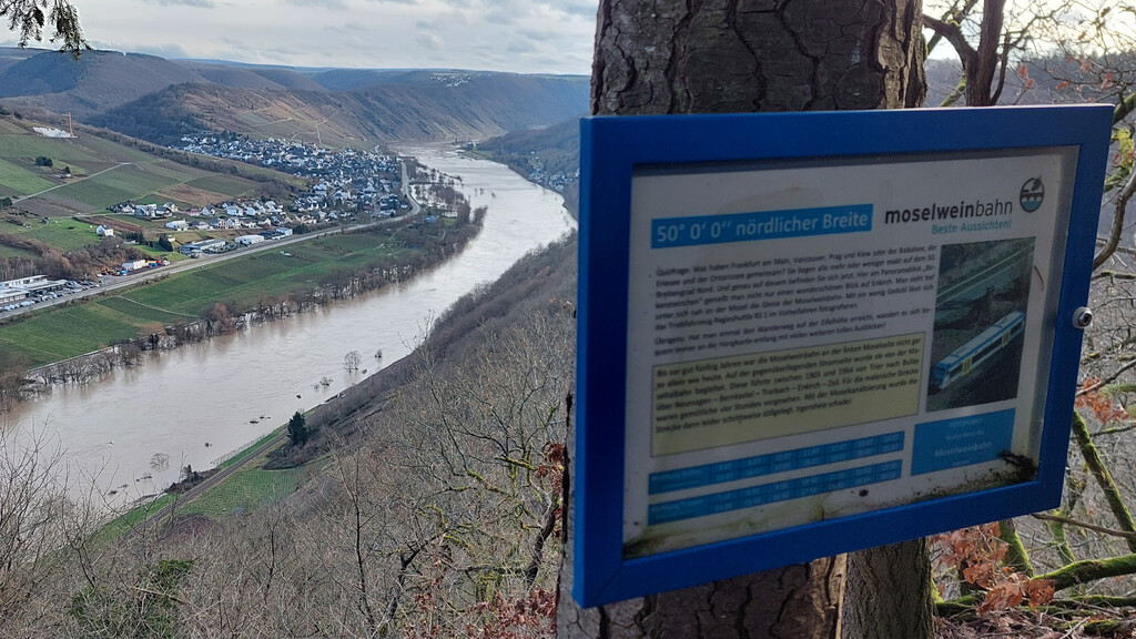 Blick ins Flusstal vom Aussichtspunkt "50. Breitengrad" oberhalb der Mosel (2024), links im Bild der Ort Enkirch.