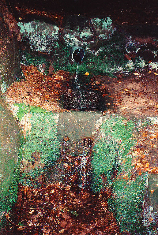 Ritterstein Nr. 36 "Klosterbrunnen" bei Lemberg (1994)