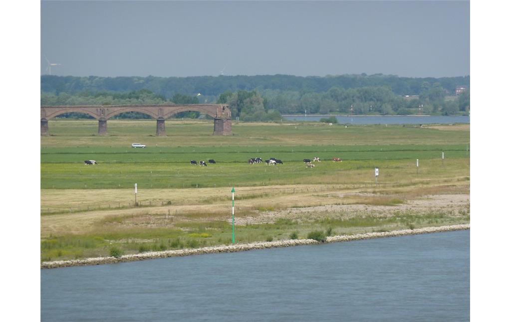 Reste der ehemals längsten Rheinbrücke aus den 1870er Jahren bei Wesel (2010)